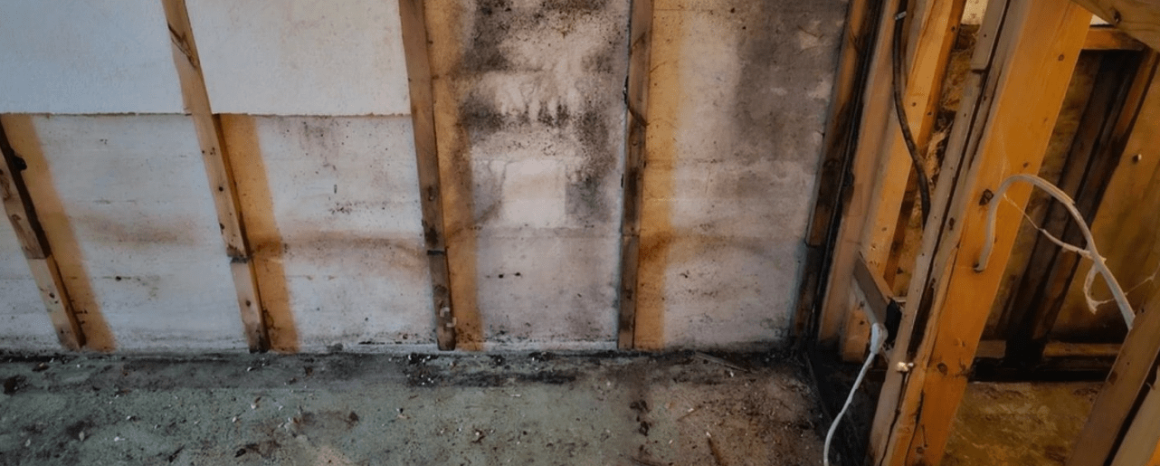 carefully research control mold