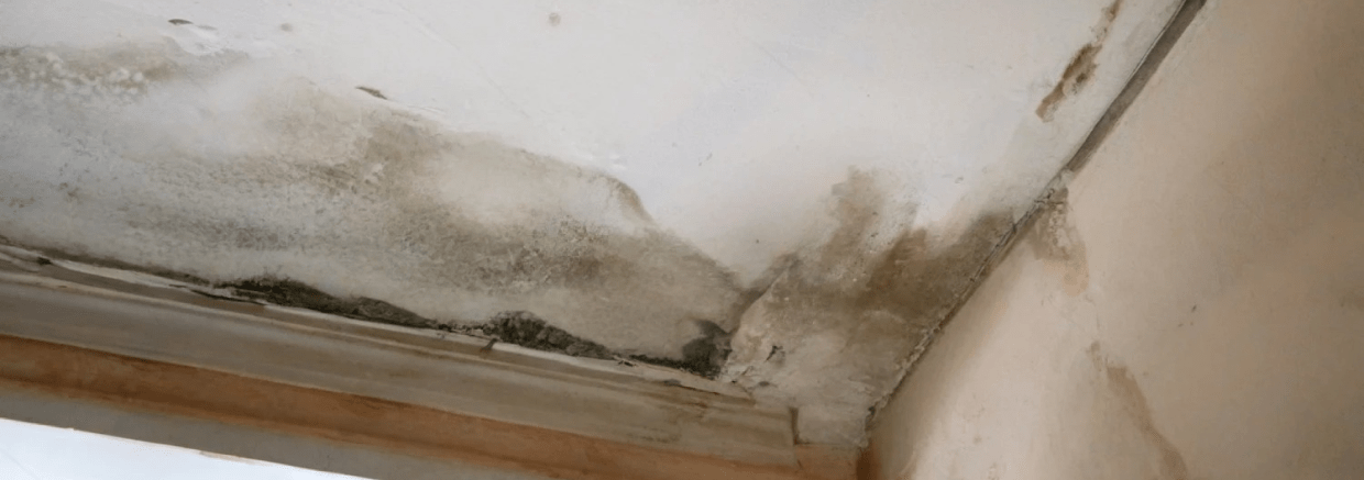 water intrusion